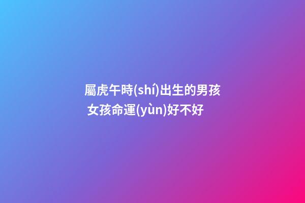 屬虎午時(shí)出生的男孩 女孩命運(yùn)好不好